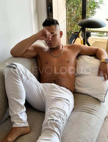 NuevoLoquo3