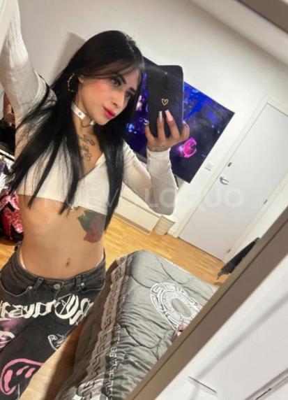 NuevoLoquo2