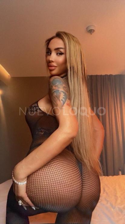 NuevoLoquo1