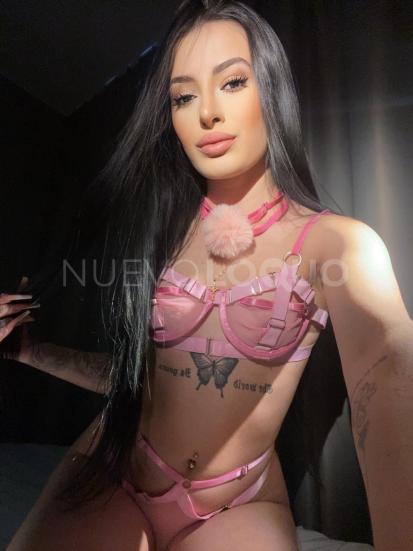 NuevoLoquo3