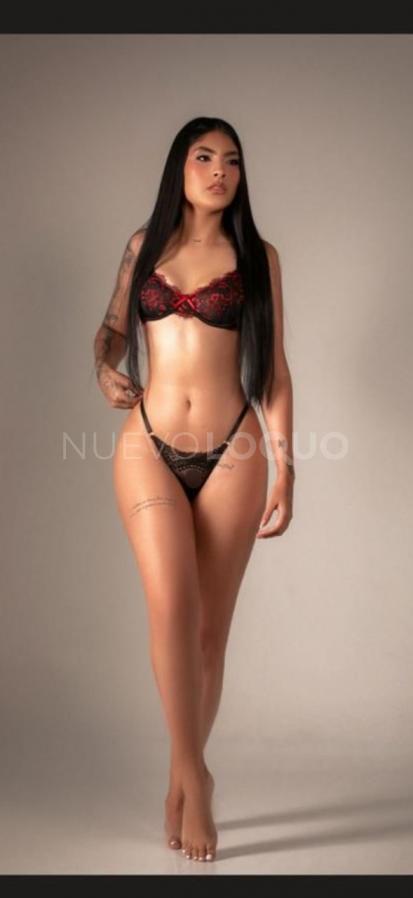 NuevoLoquo1