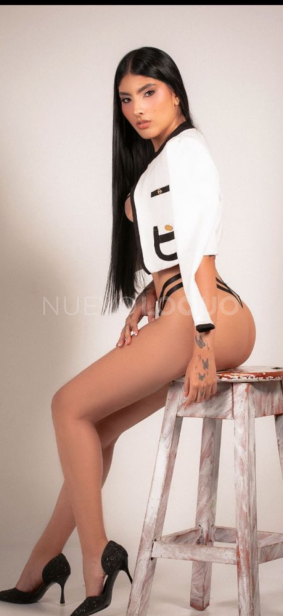 NuevoLoquo3