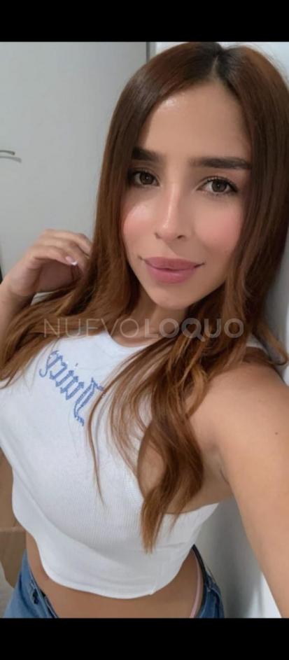 NuevoLoquo4