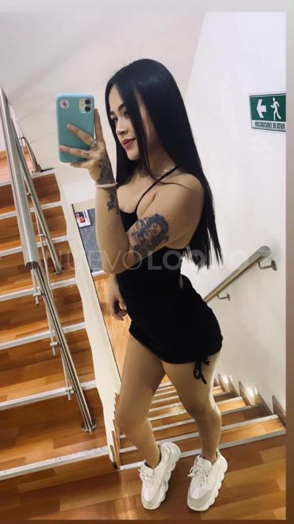 NuevoLoquo3
