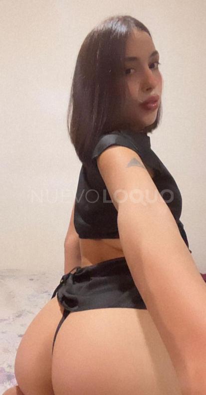 NuevoLoquo4