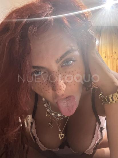 NuevoLoquo2