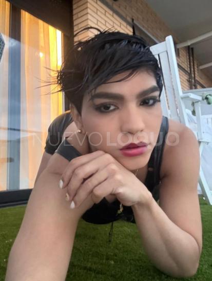 NuevoLoquo0