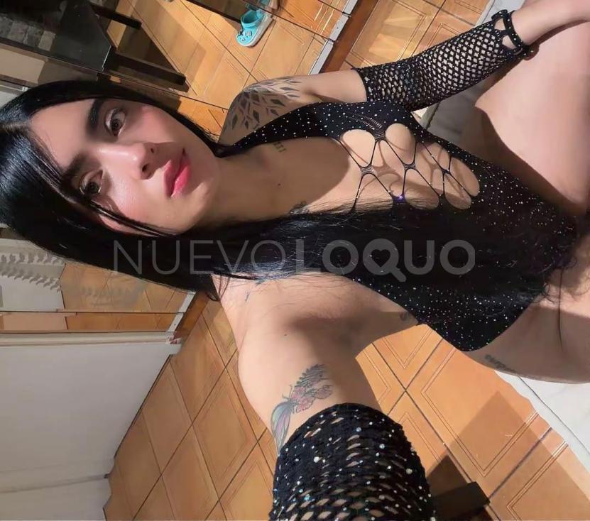 NuevoLoquo1