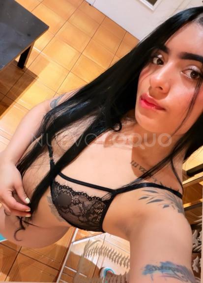 NuevoLoquo3
