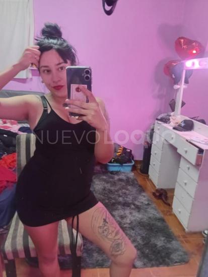 NuevoLoquo3