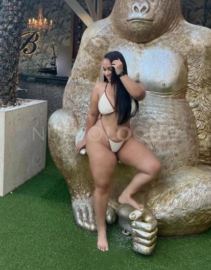 NuevoLoquo2