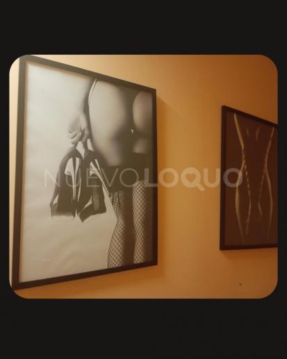 NuevoLoquo1