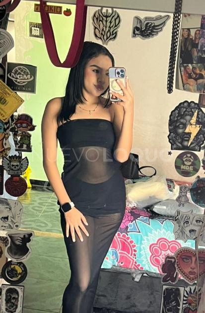 NuevoLoquo2