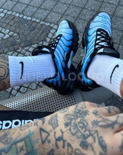 Posts pasion