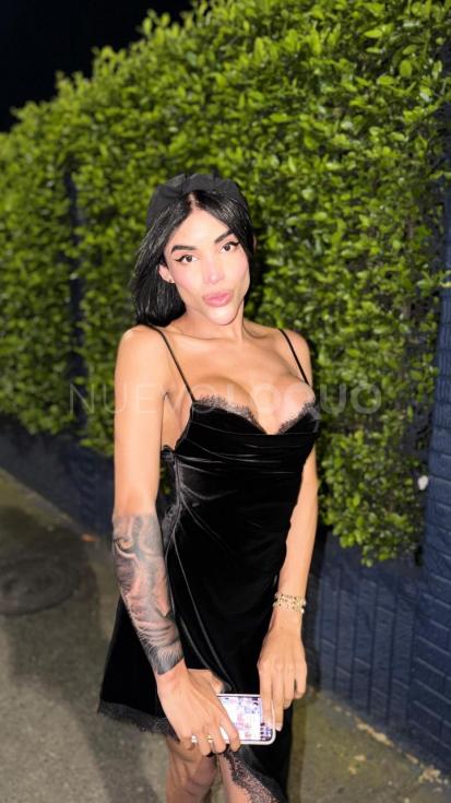 NuevoLoquo5