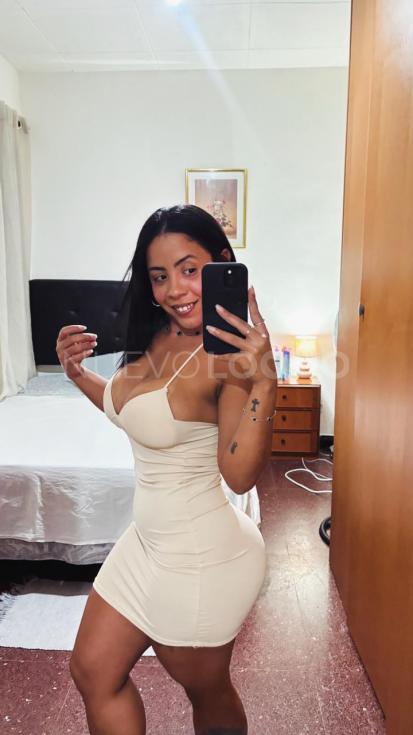 NuevoLoquo2