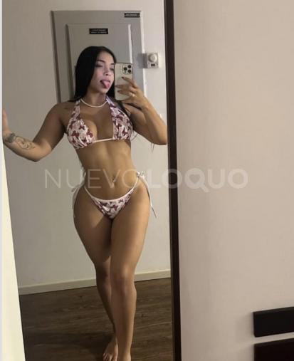 NuevoLoquo3