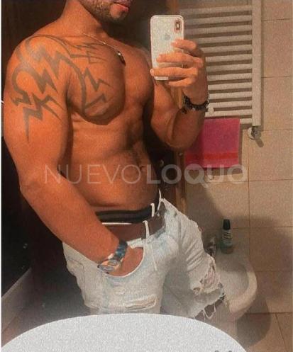 NuevoLoquo3