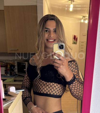 NuevoLoquo5