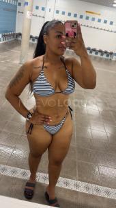 novedad 