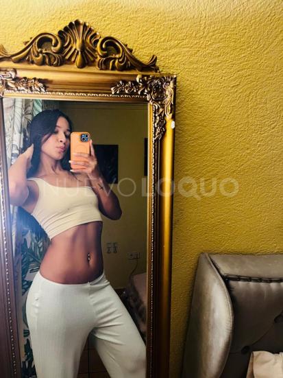 NuevoLoquo3