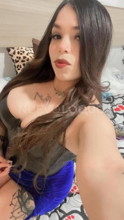 NuevoLoquo1