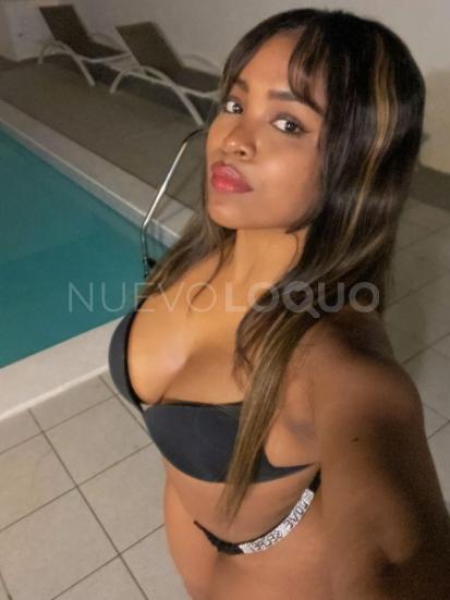 NuevoLoquo3