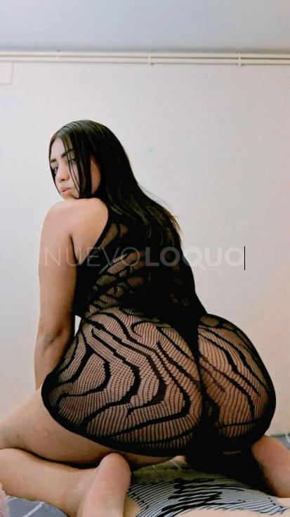 NuevoLoquo5