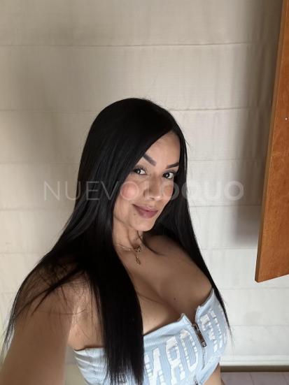 NuevoLoquo3