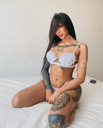 NuevoLoquo2