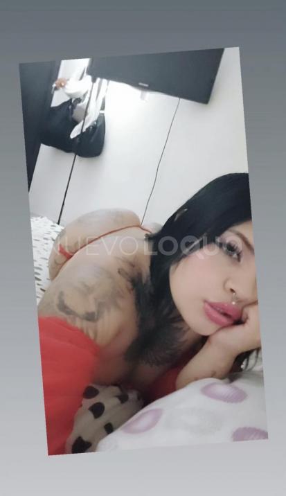 NuevoLoquo2