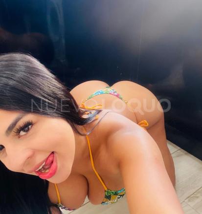NuevoLoquo3