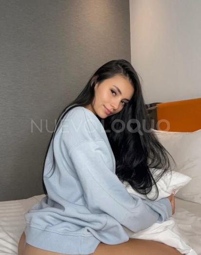 NuevoLoquo3
