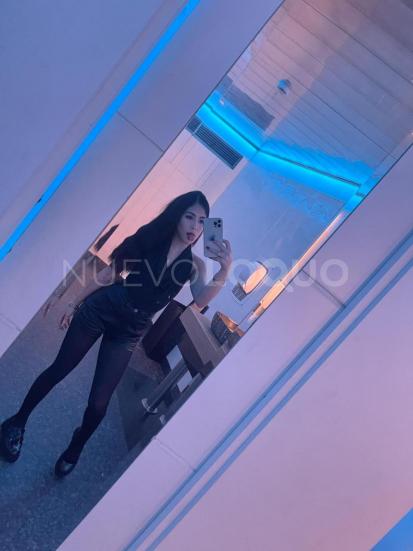NuevoLoquo2