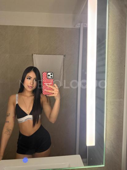 NuevoLoquo3