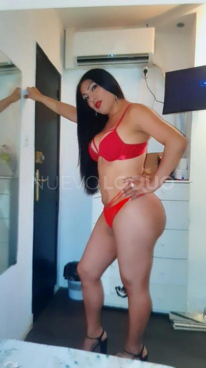 NuevoLoquo5