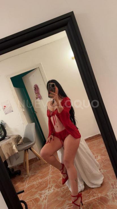 NuevoLoquo1