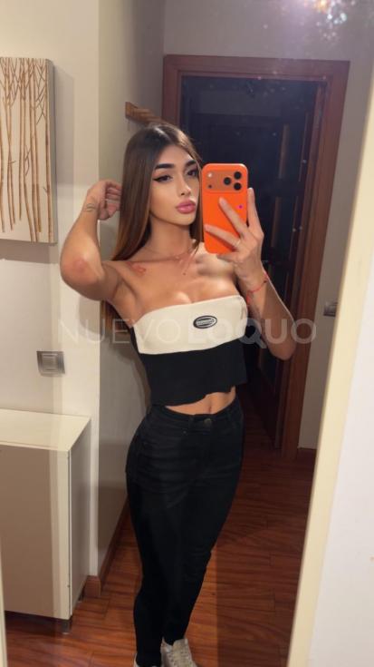 NuevoLoquo3