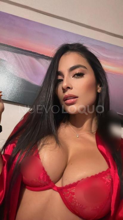 NuevoLoquo3