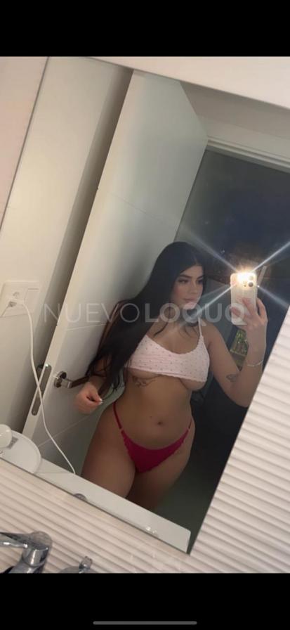 NuevoLoquo2