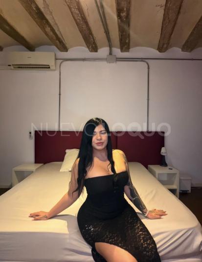 NuevoLoquo2