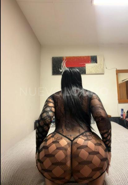 NuevoLoquo3