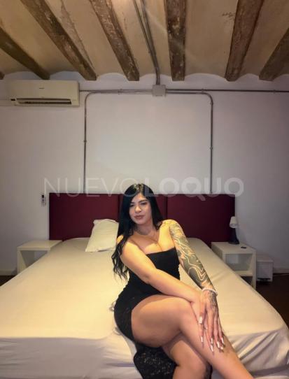 NuevoLoquo3