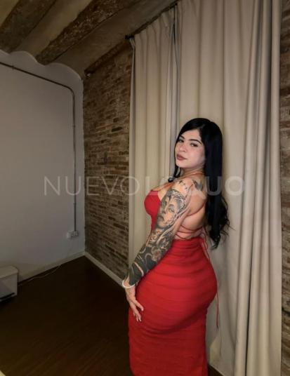 NuevoLoquo4
