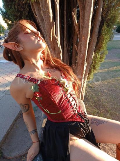 Posts pasion