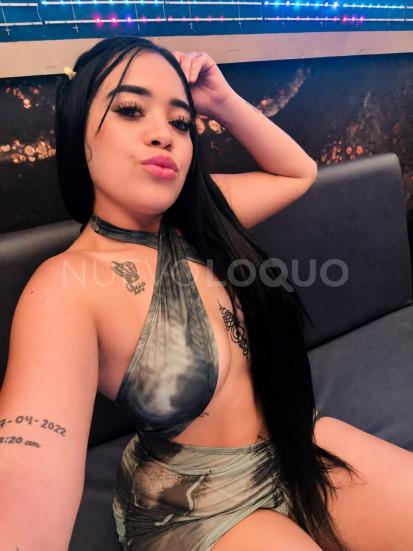 NuevoLoquo3