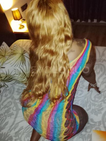 NuevoLoquo1