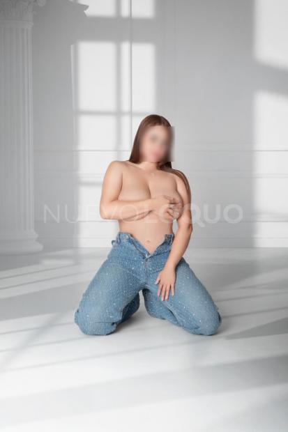  novedad