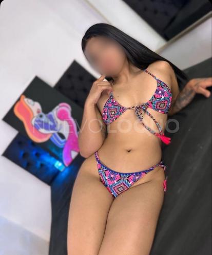 NuevoLoquo2