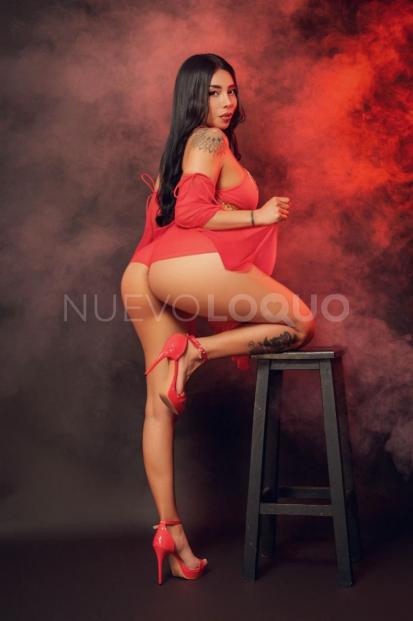 NuevoLoquo4